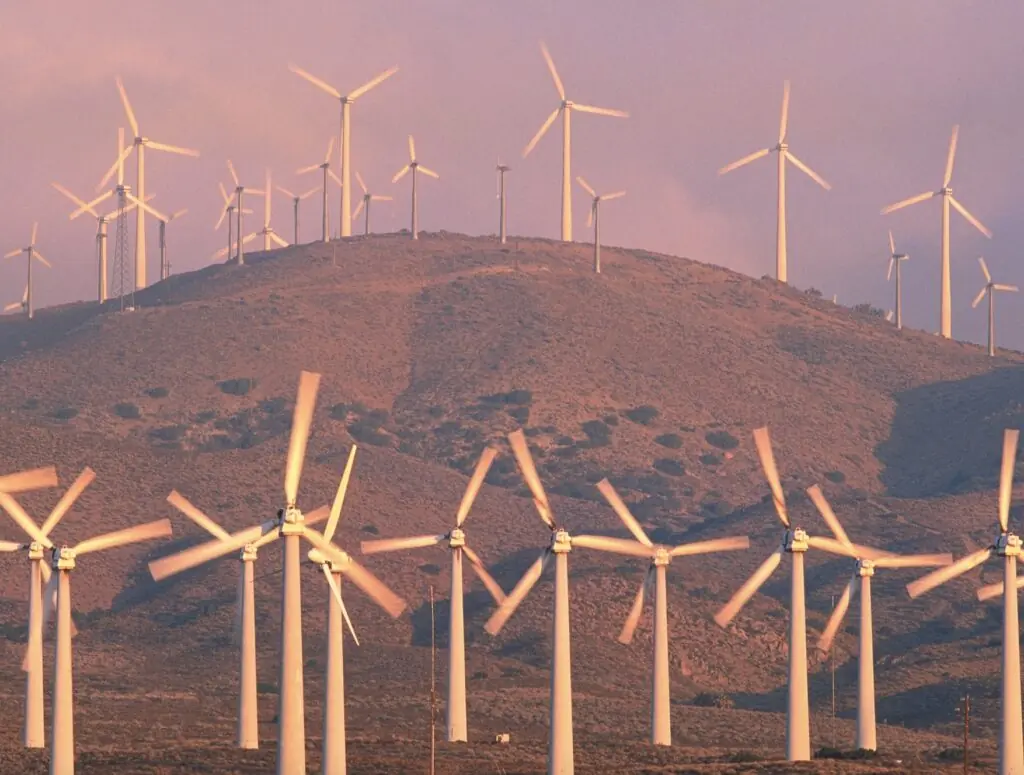 size-large wp-image-1263152100