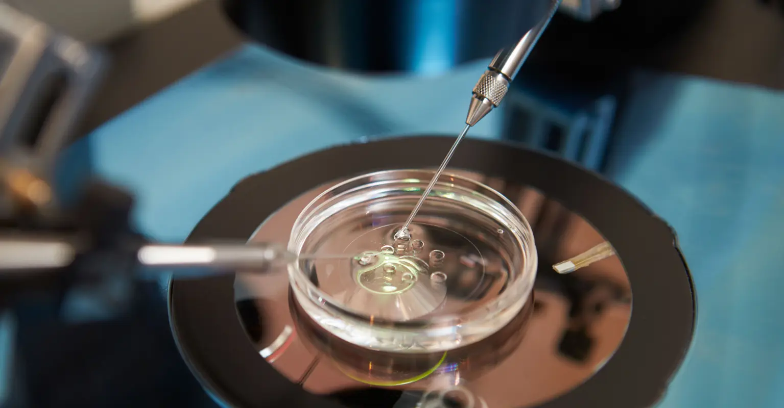 Woman says she's a triplet, but is four years younger than her sisters