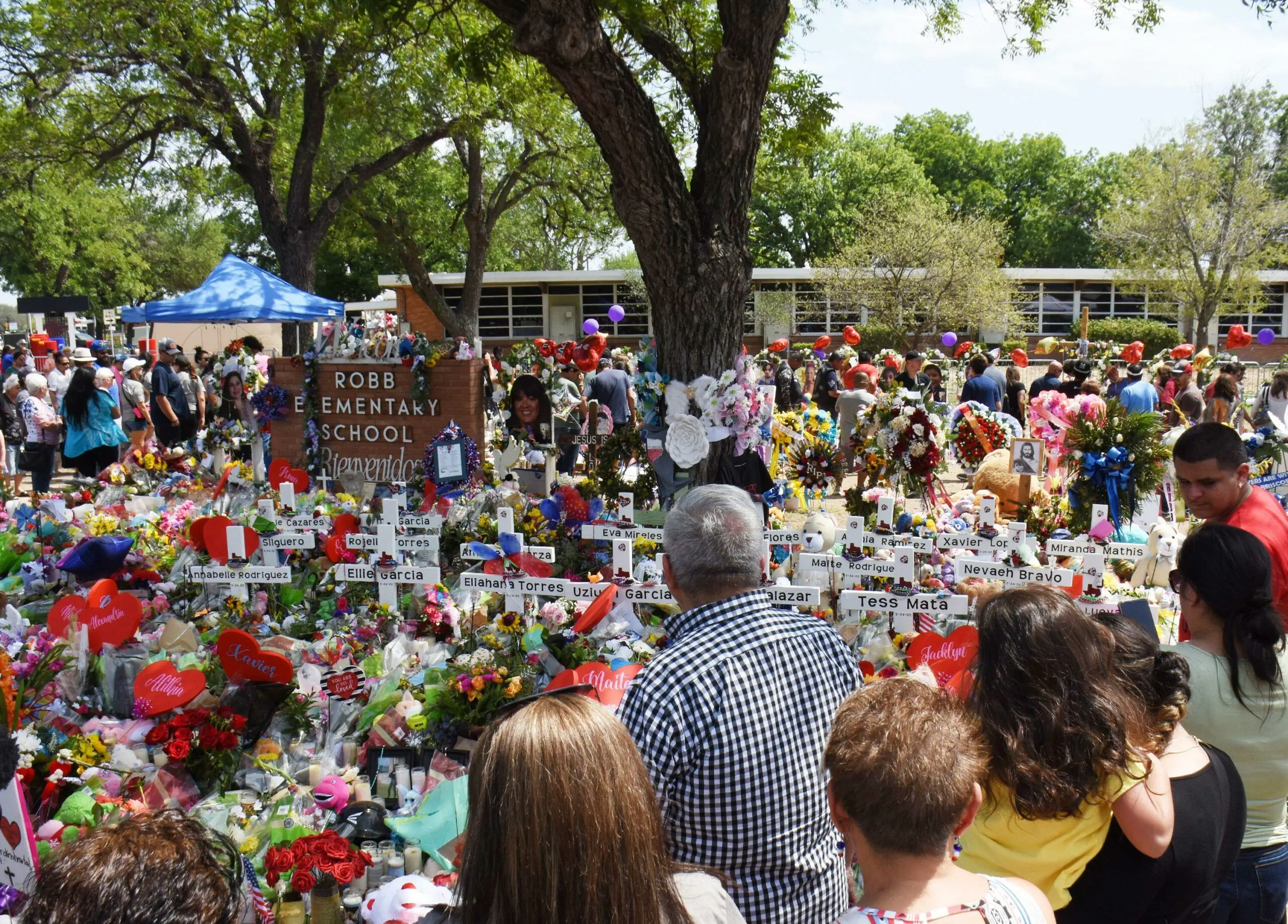 wp-image-1263156420 size-full