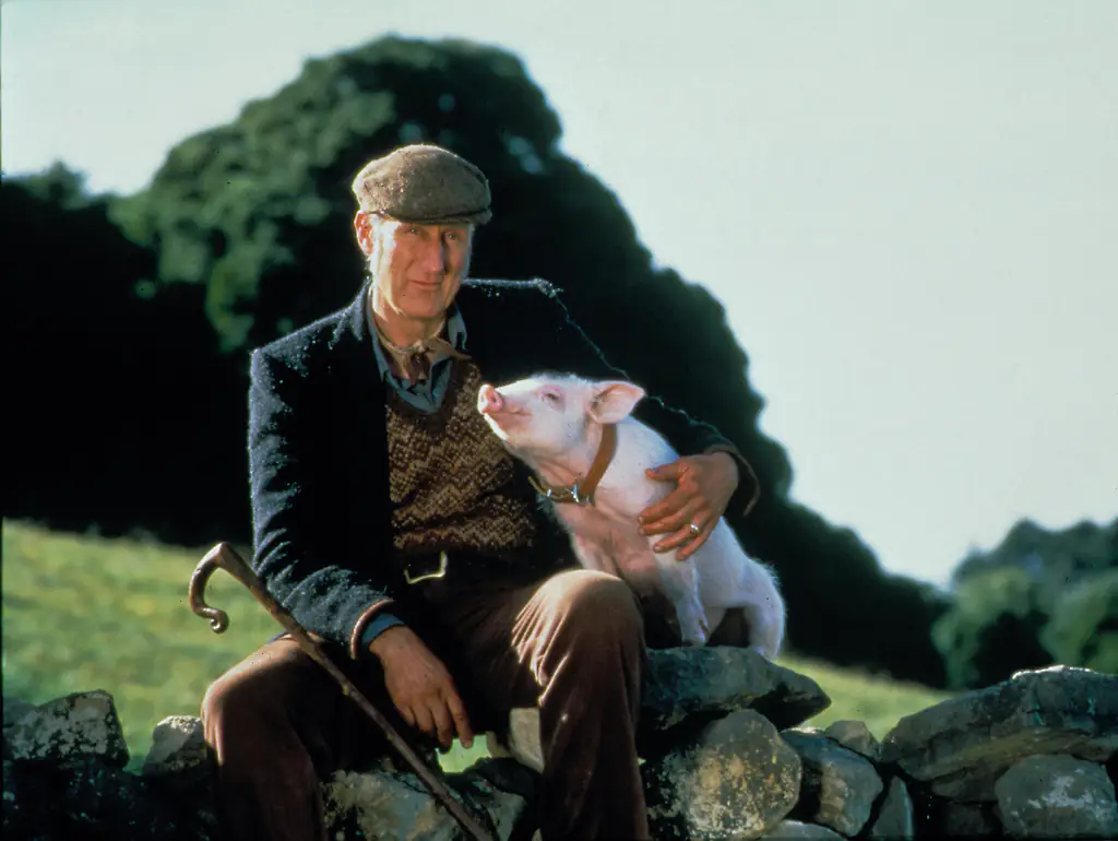 wp-image-1263154050 size-full