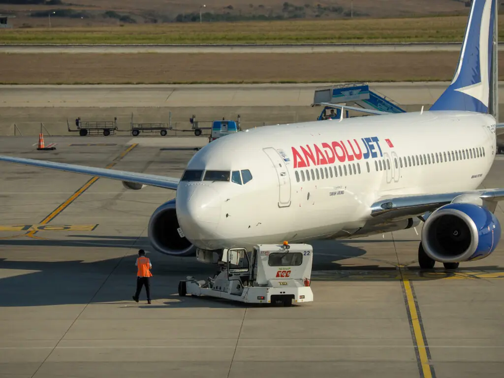 size-large wp-image-1263154146