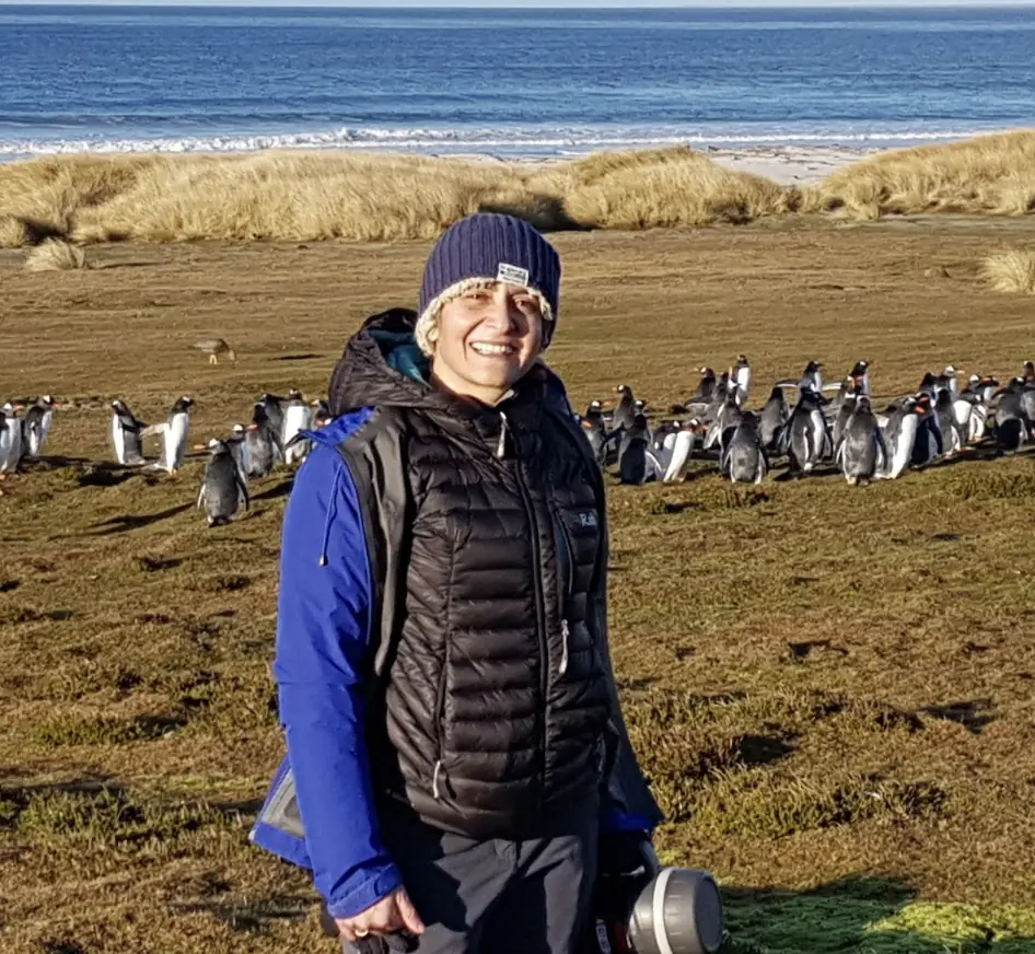 wp-image-1263156480 size-full