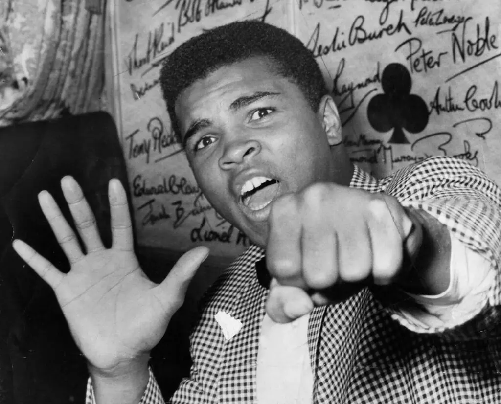 size-large wp-image-1263153205