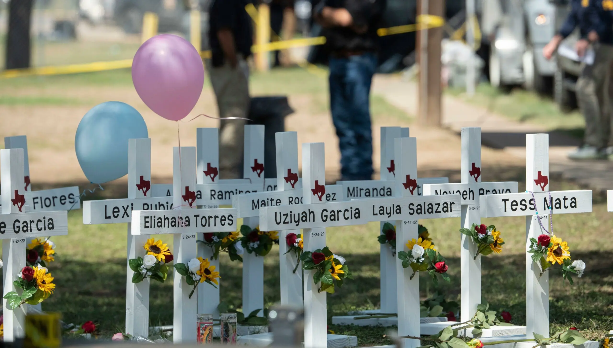 wp-image-1263156614 size-full