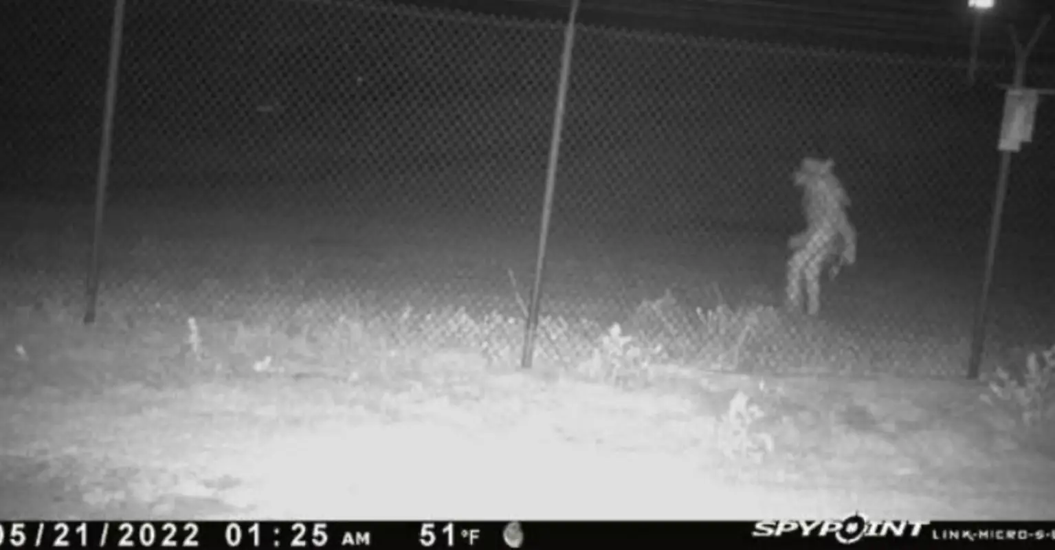 Social media users baffled after bizarre figure spotted outside Texas zoo