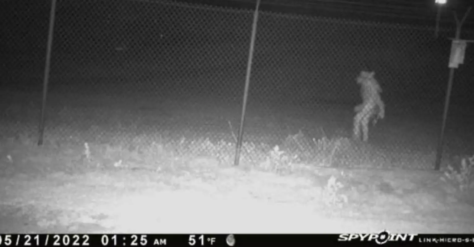 Social media users baffled after bizarre figure spotted outside Texas zoo