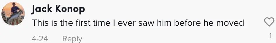 wp-image-1263158281 size-full