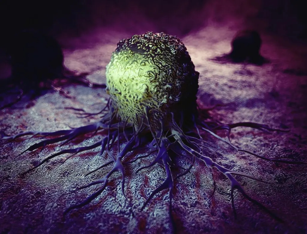 size-large wp-image-1263157190