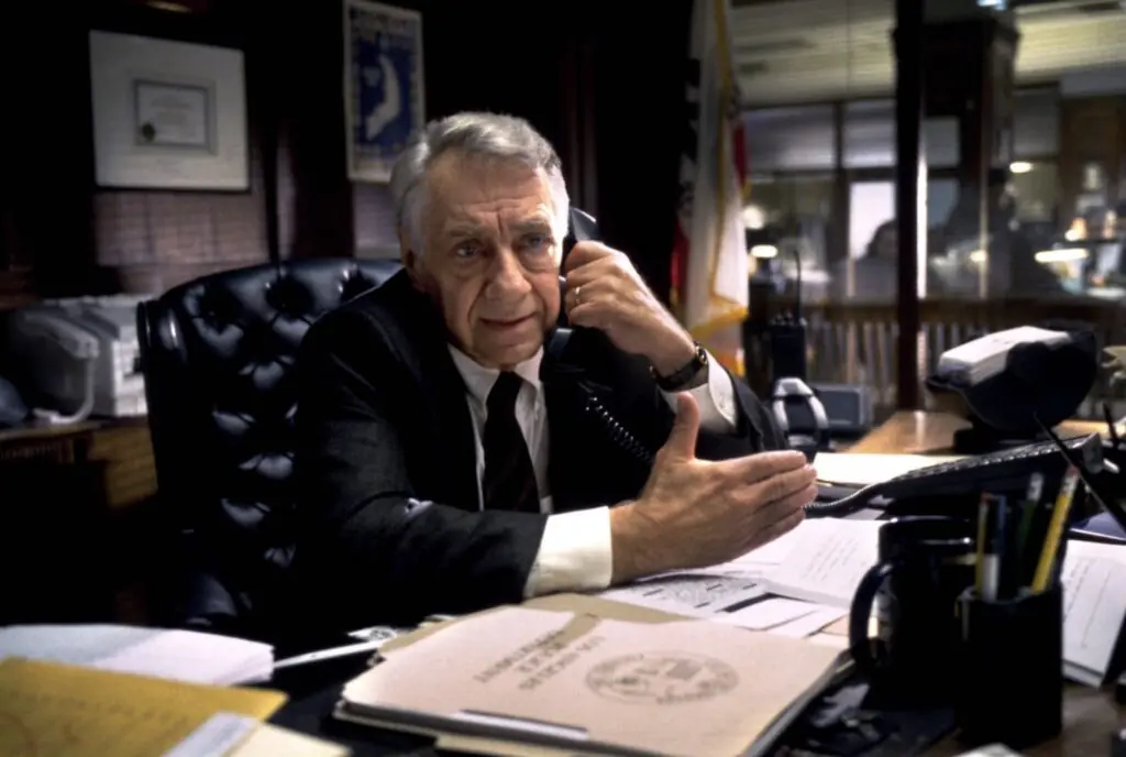 size-large wp-image-1263158164