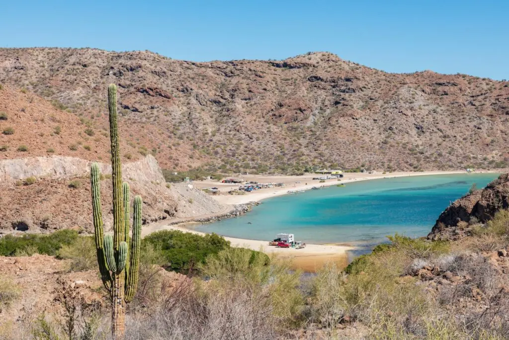 size-large wp-image-1263158884