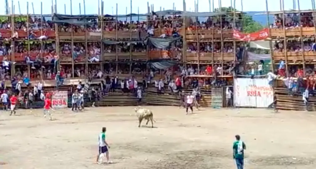 size-large wp-image-1263159838