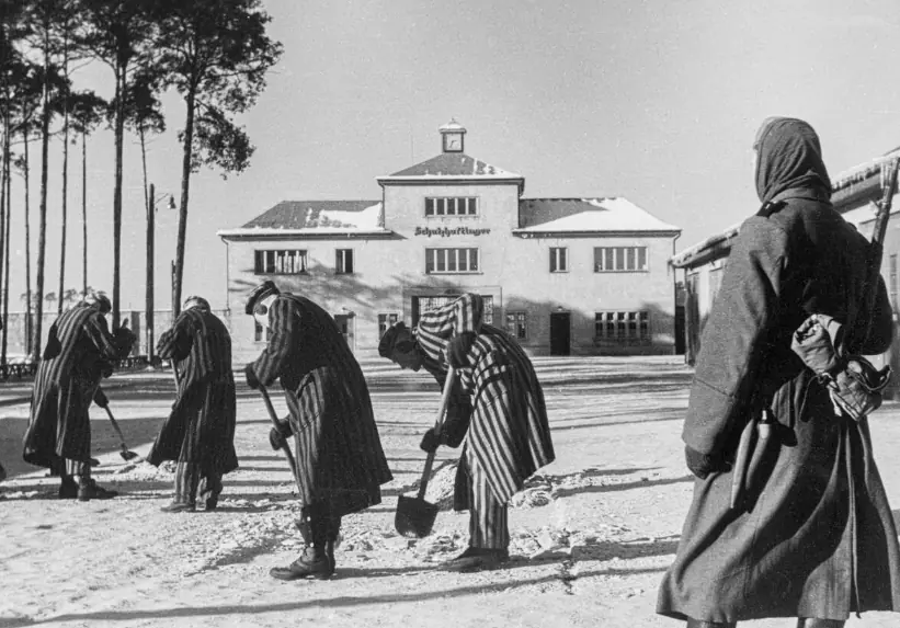 size-full wp-image-1263159996