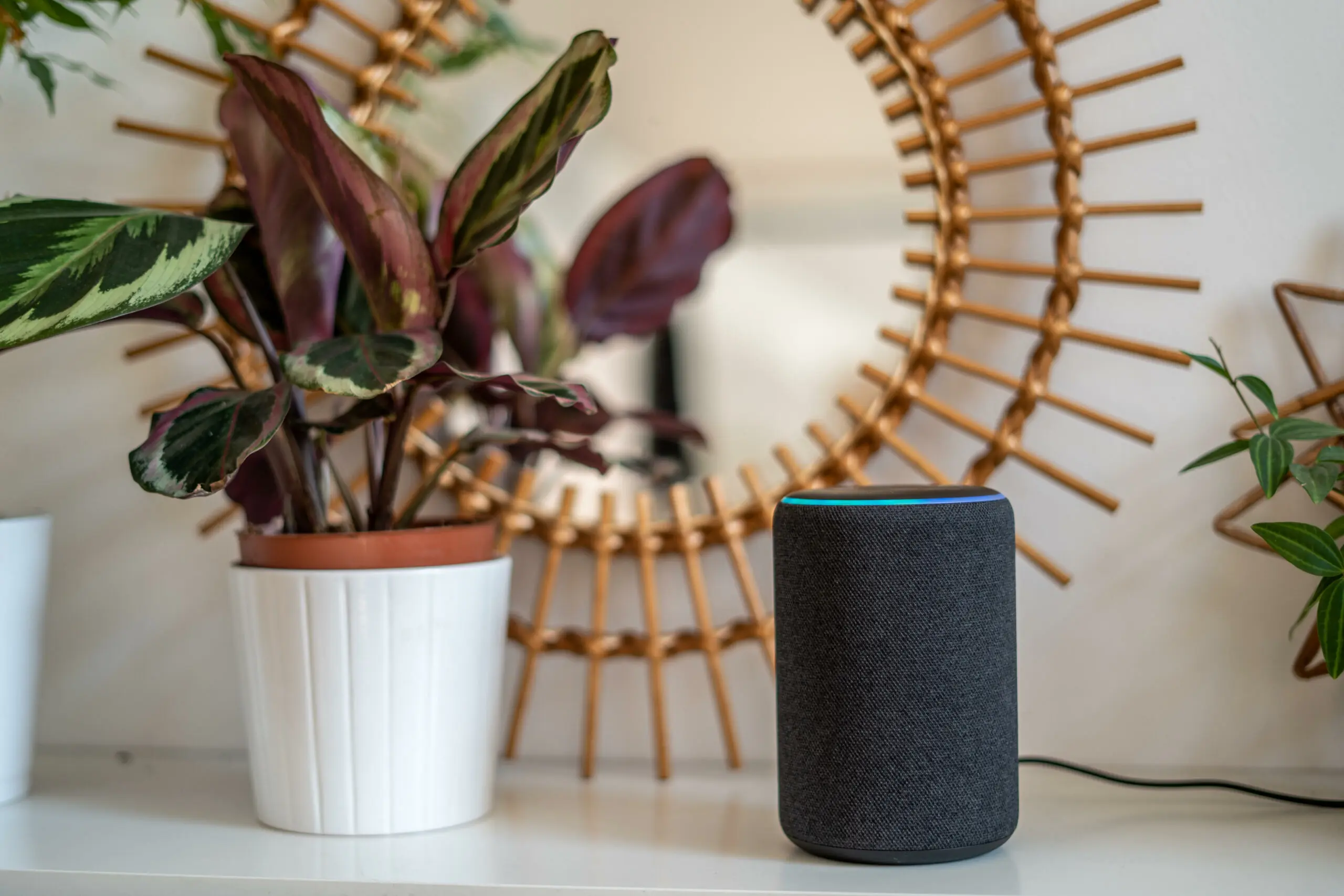 wp-image-1263159498 size-full