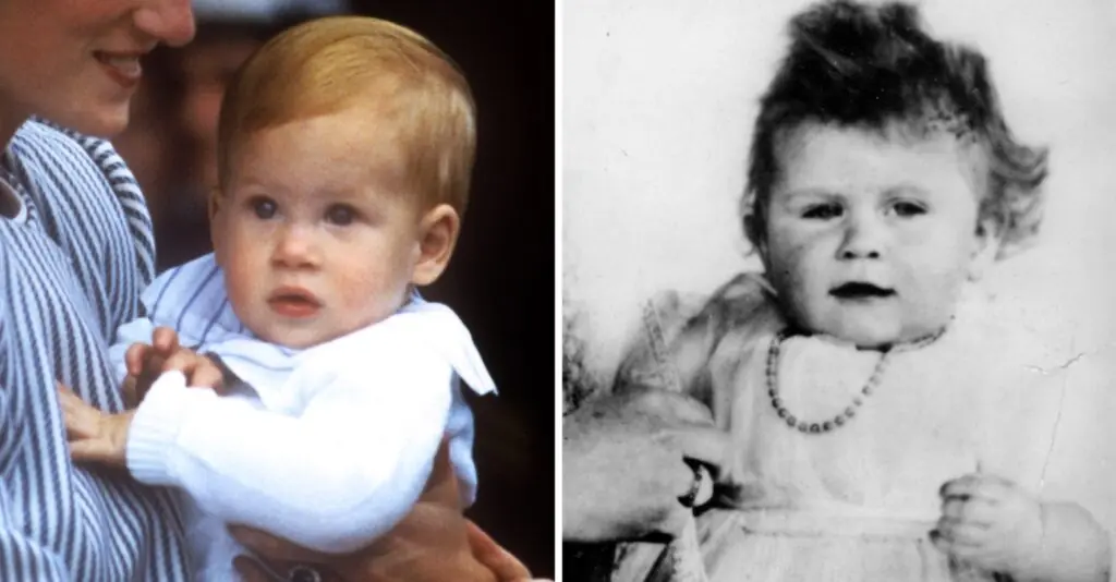 size-large wp-image-1263157235