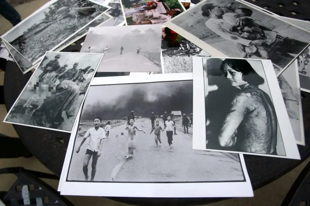 size-large wp-image-1263160173