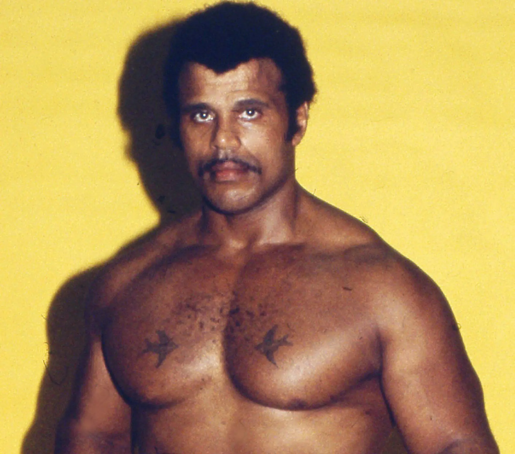 wp-image-1263160289 size-full