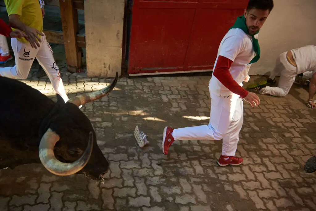 size-large wp-image-1263161055