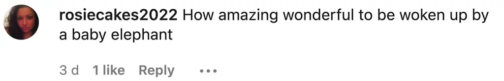 wp-image-1263163253 size-full