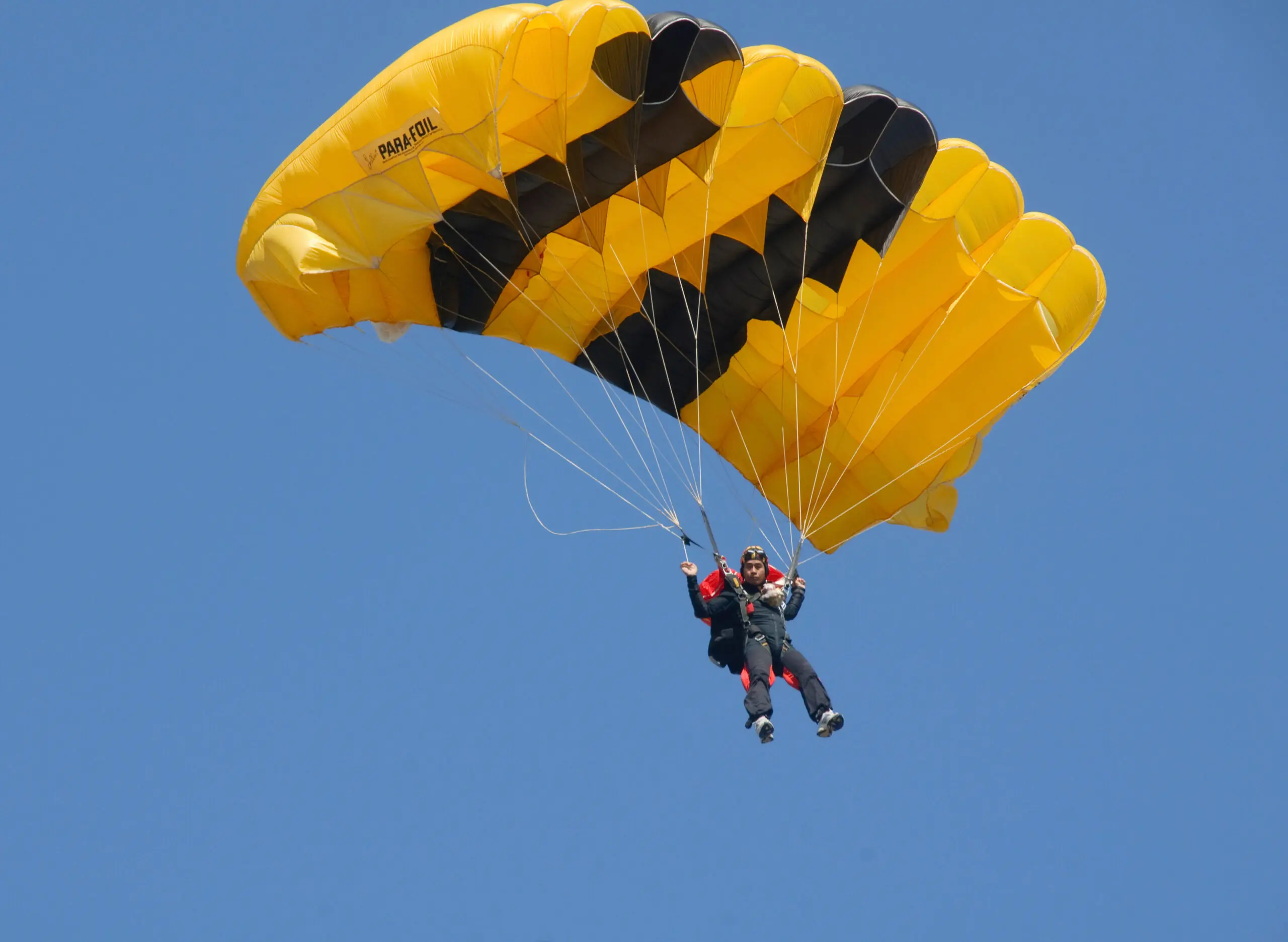 wp-image-1263162229 size-full