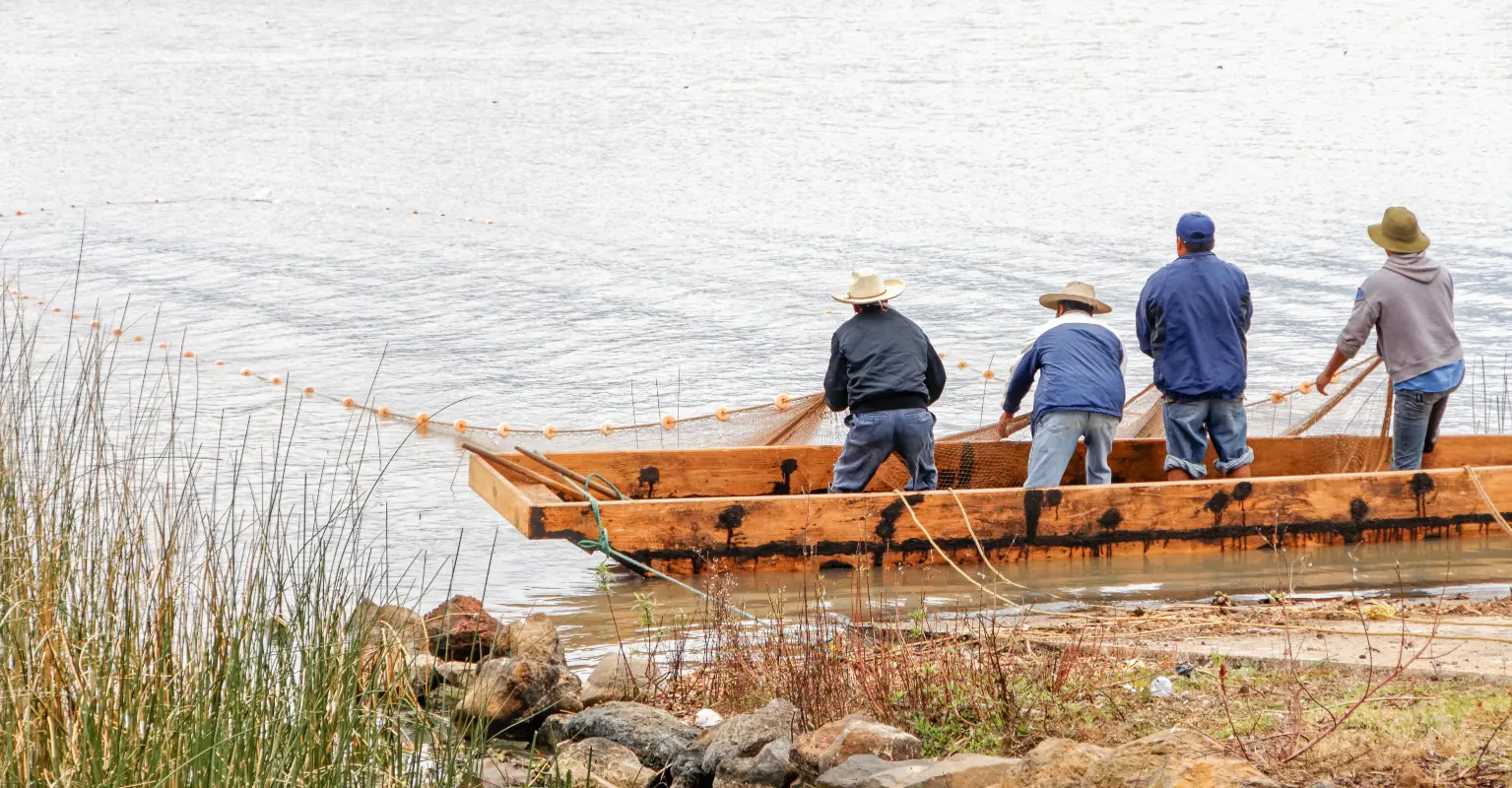 Mexican mayor weds alligator in order to bring good luck to fishermen