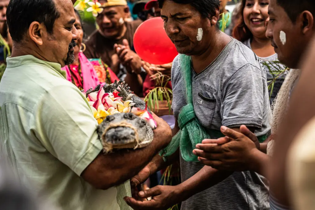 size-large wp-image-1263160508