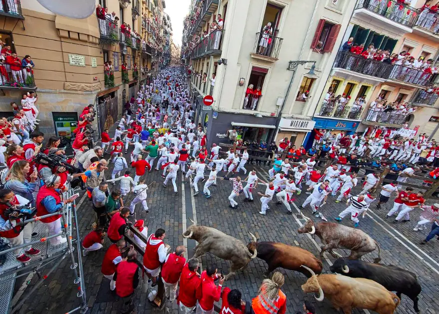 size-full wp-image-1263161056