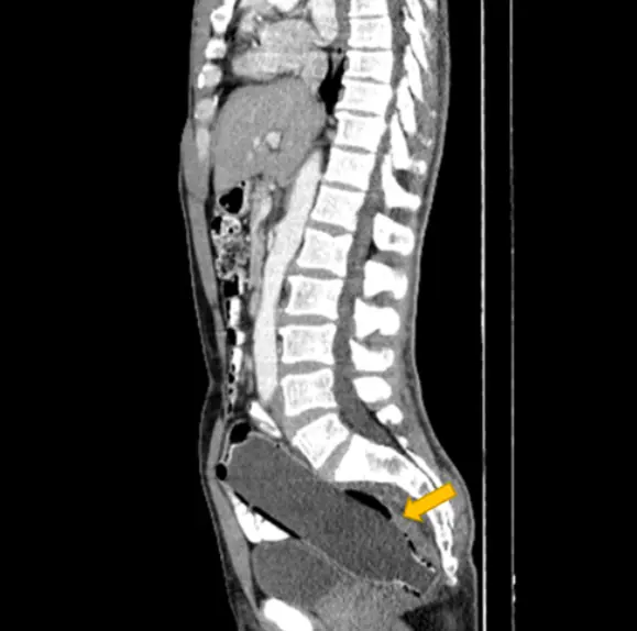 size-full wp-image-1263161801