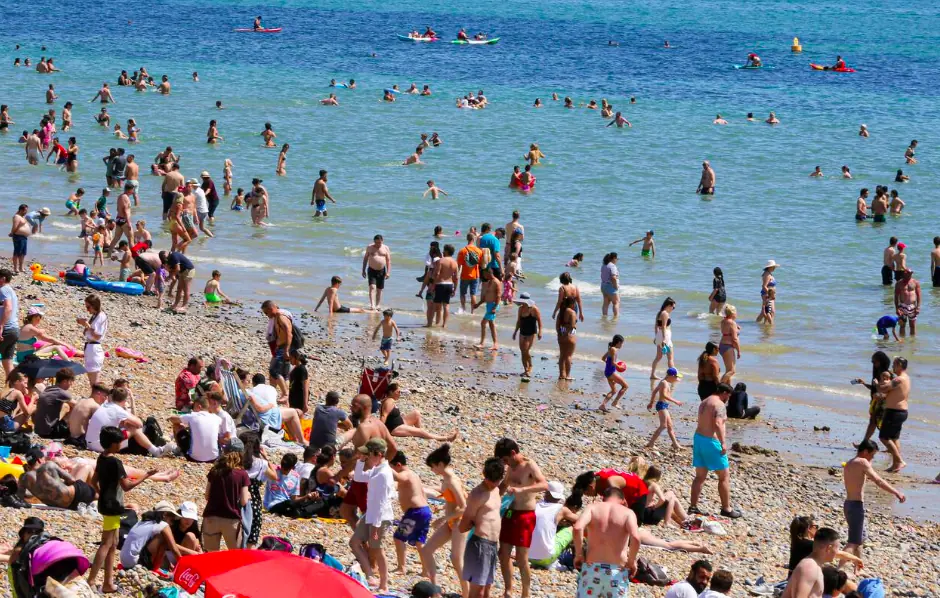 size-full wp-image-1263161820