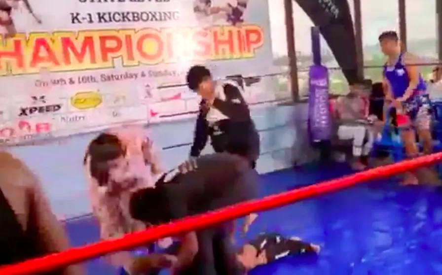 size-full wp-image-1263161829