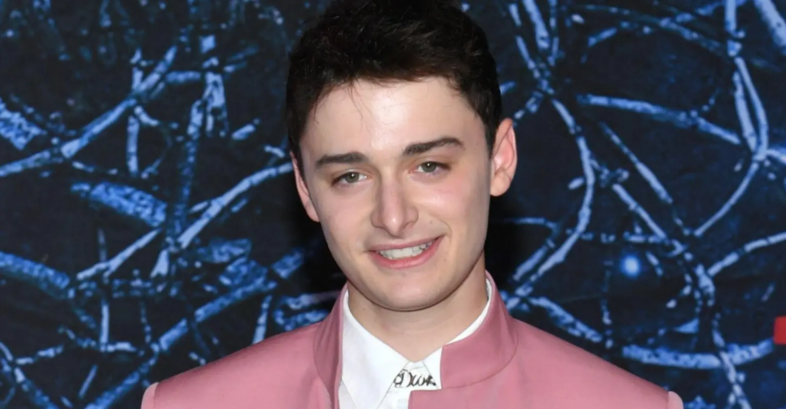 'Stranger Things' star Noah Schnapp says will is gay and in love with Mike