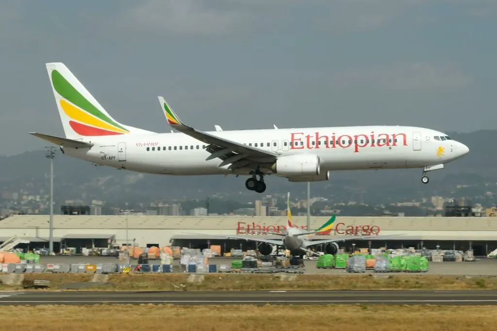 size-large wp-image-1263165962