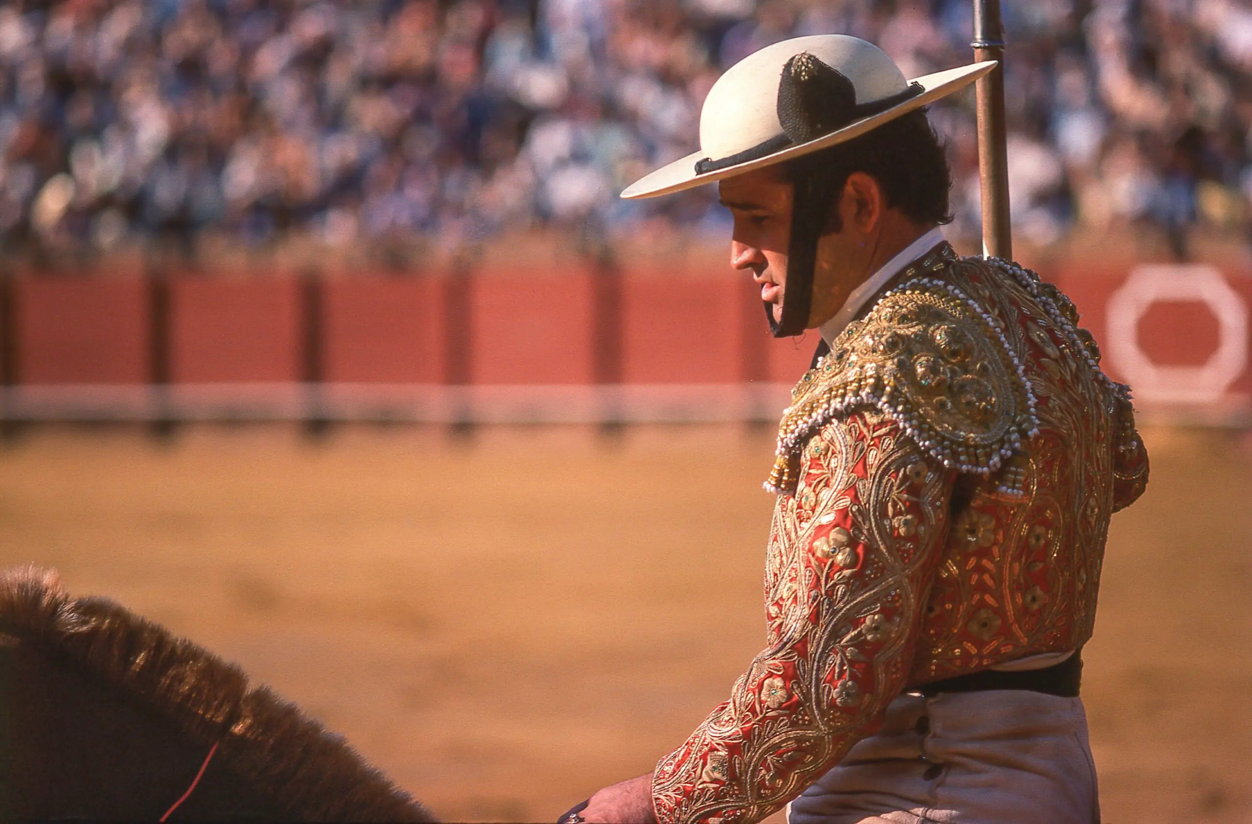 size-full wp-image-1263166847