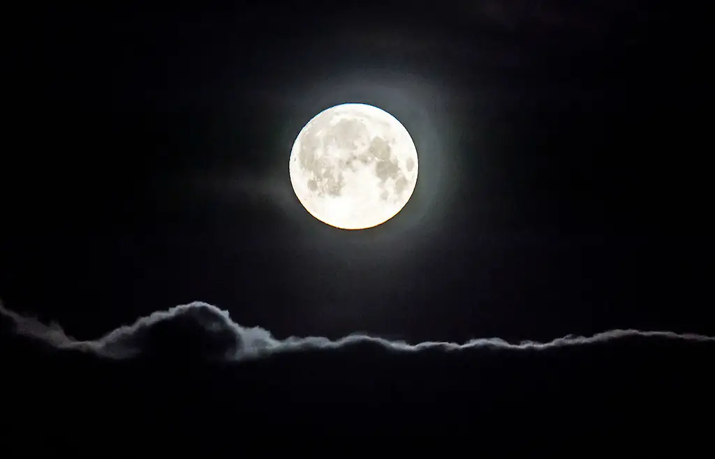 wp-image-1263164613 size-full