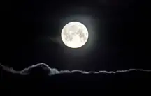 wp-image-1263164613 size-full