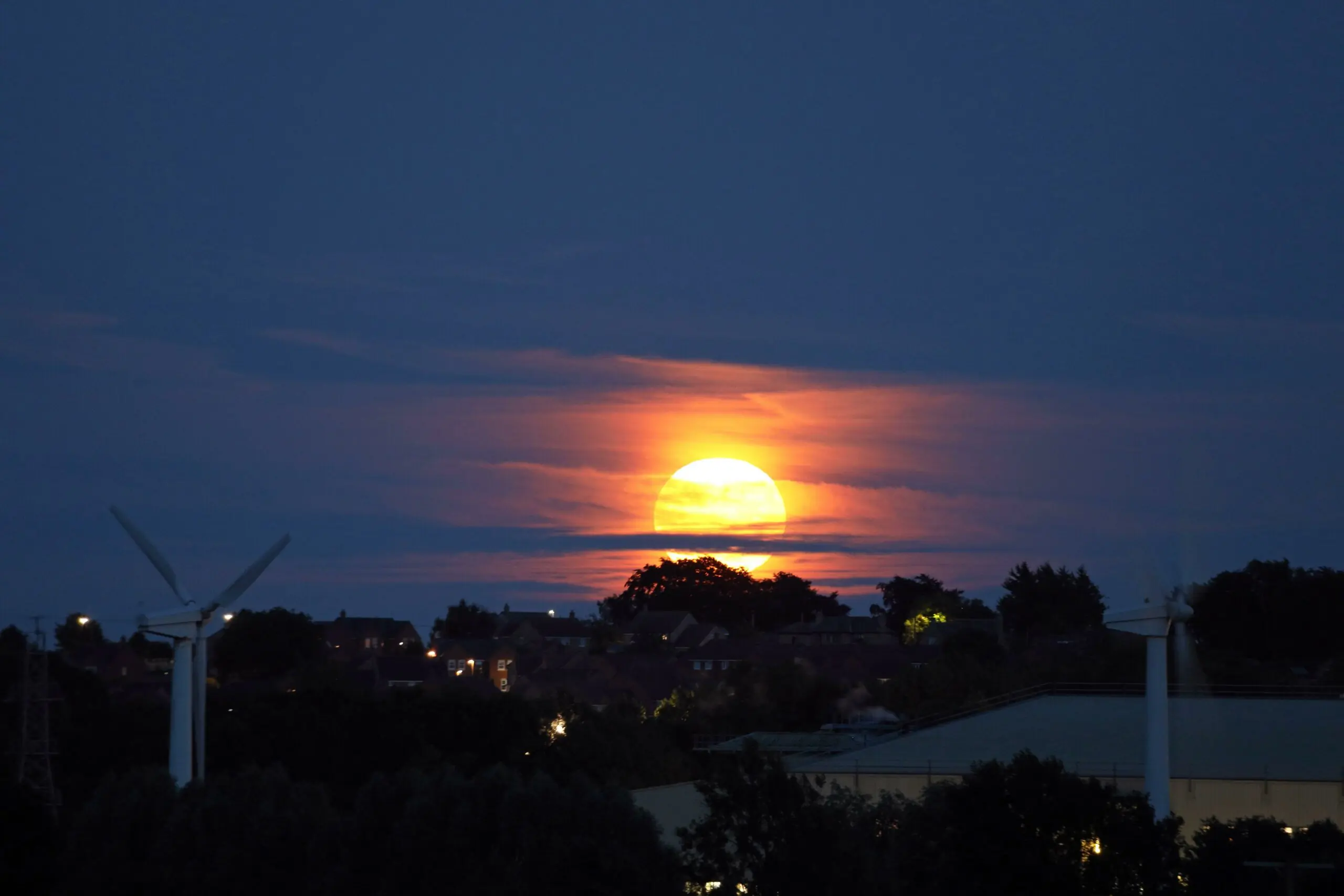 wp-image-1263164611 size-full