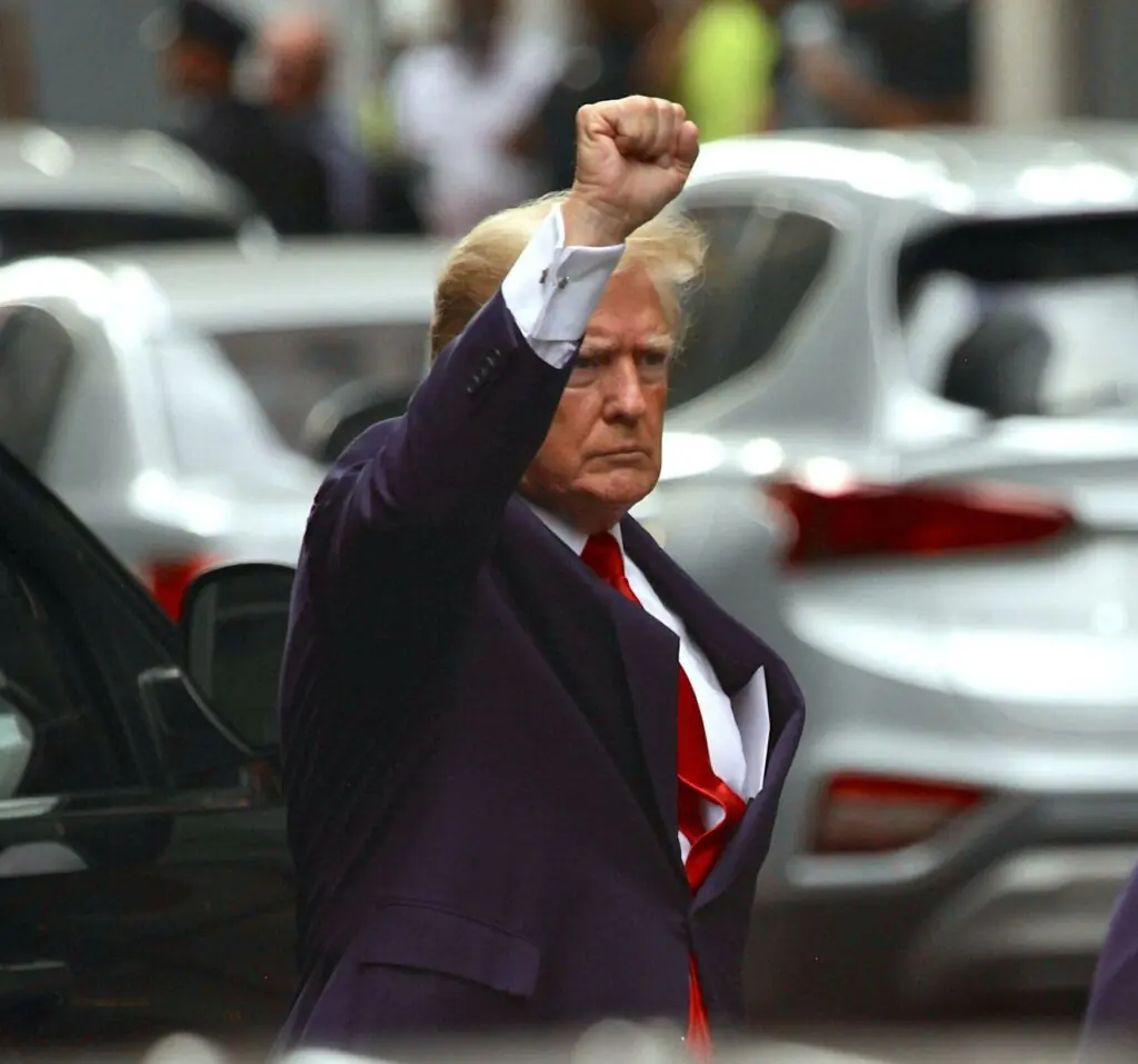 size-large wp-image-1263164709