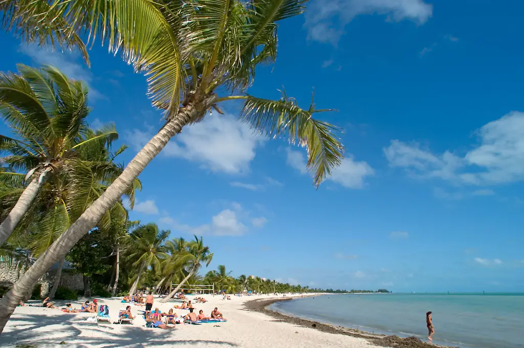 wp-image-1263165459 size-full