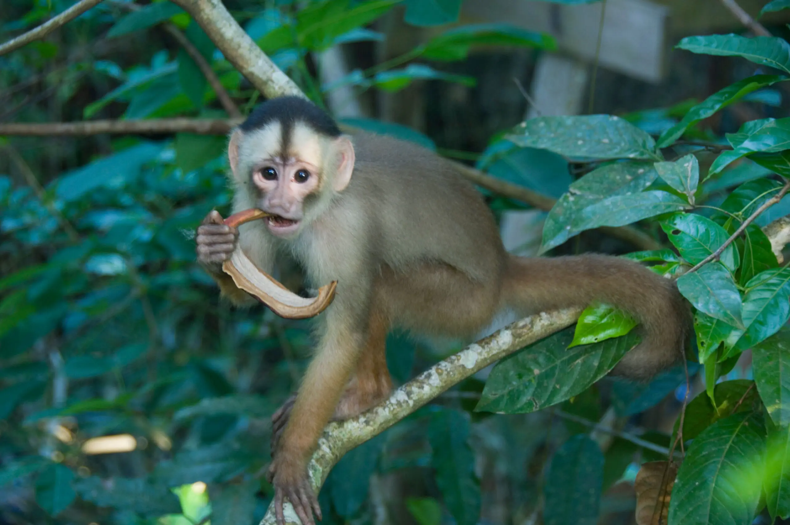 wp-image-1263165649 size-full