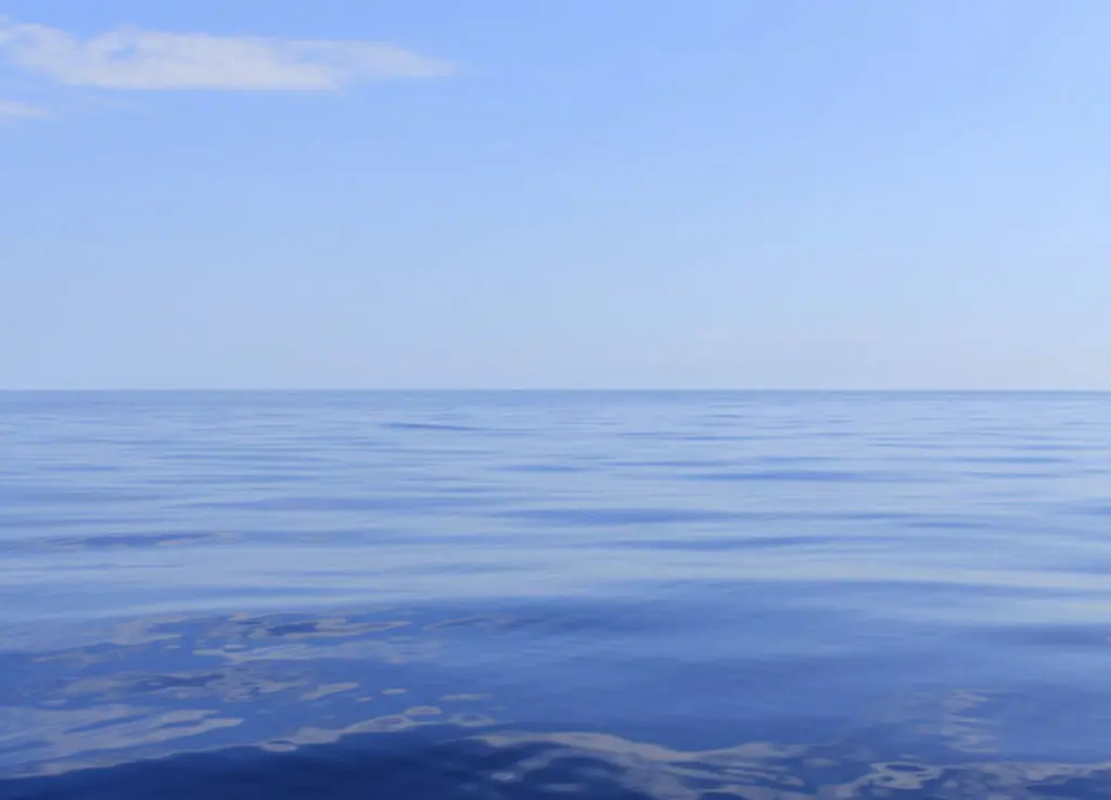 size-large wp-image-1263165930