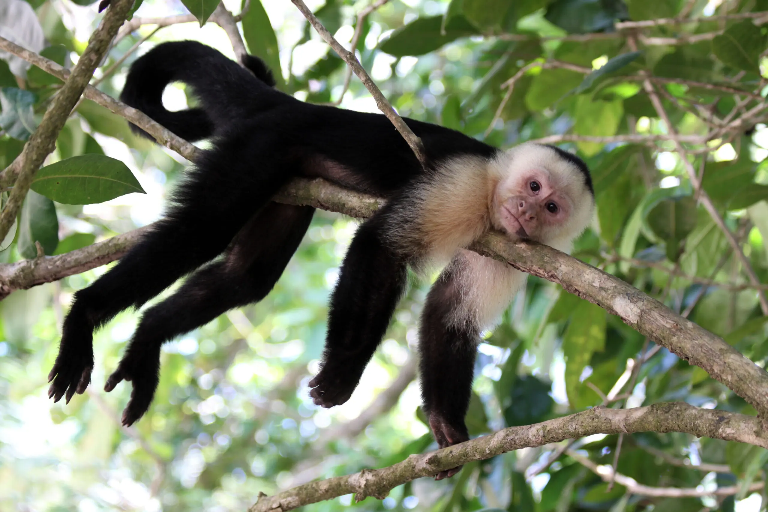 wp-image-1263165650 size-full