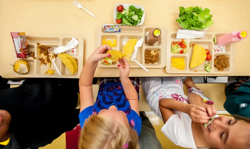 size-large wp-image-1263165130