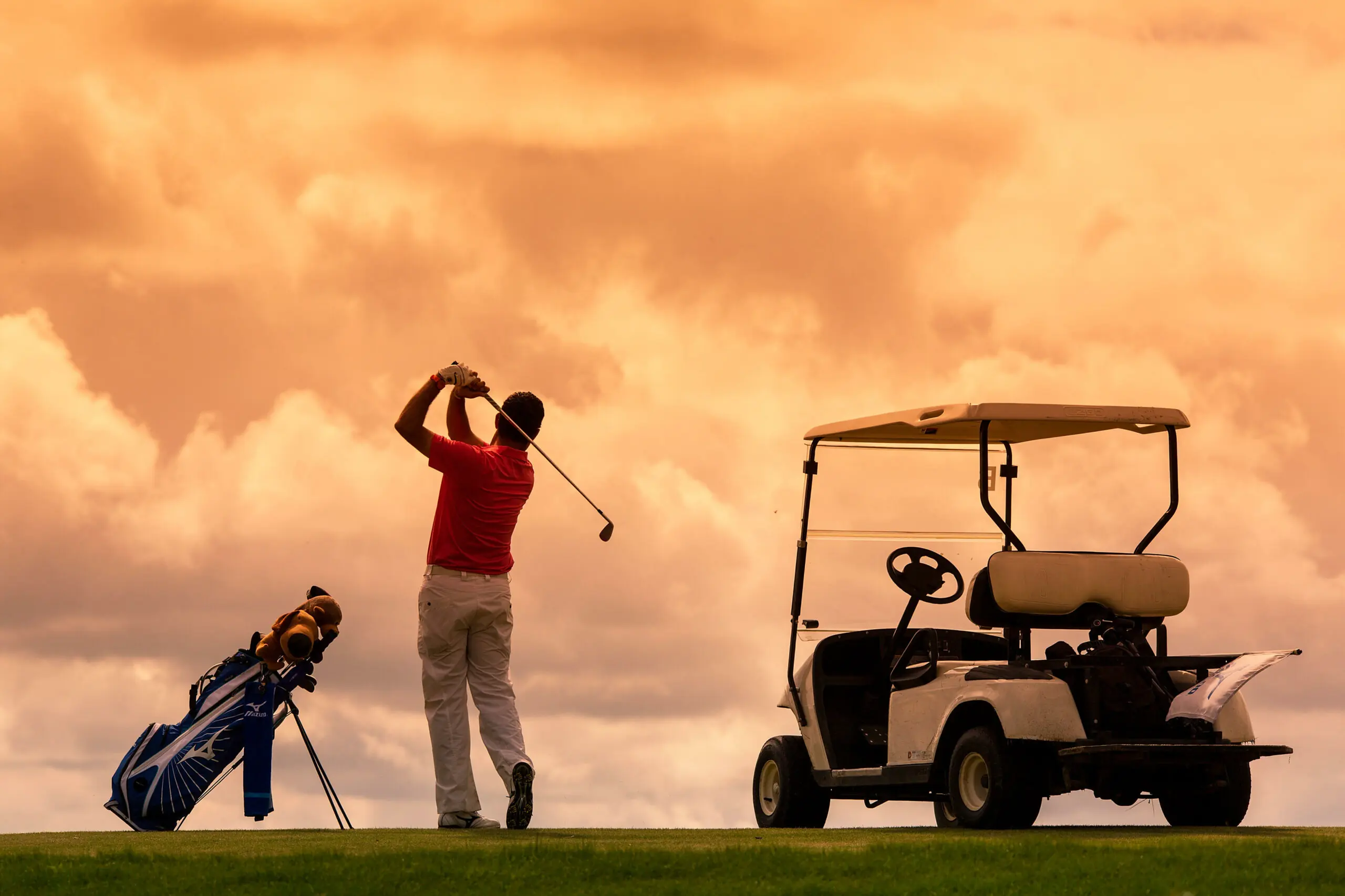 wp-image-1263165238 size-full