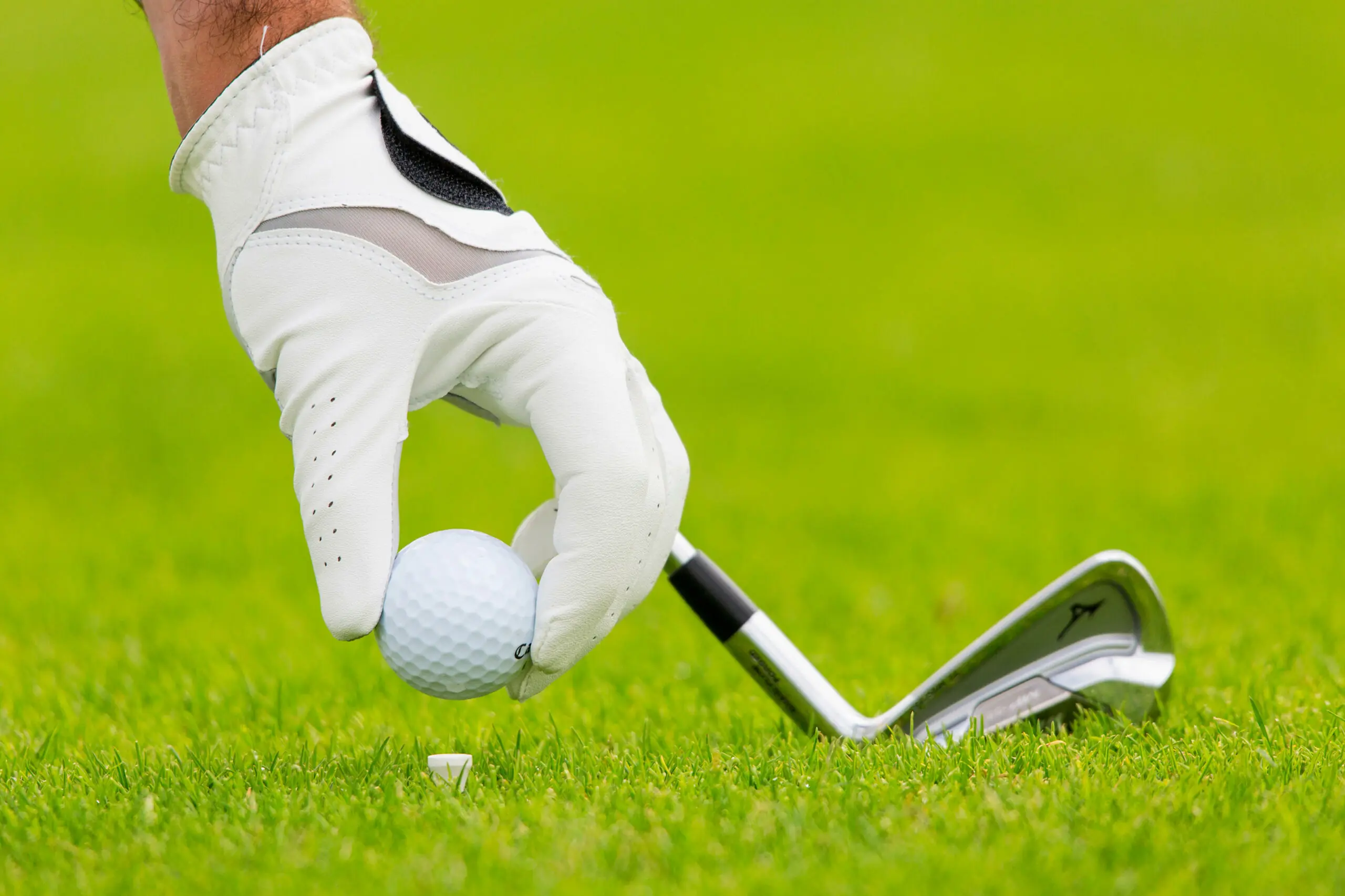 wp-image-1263165236 size-full