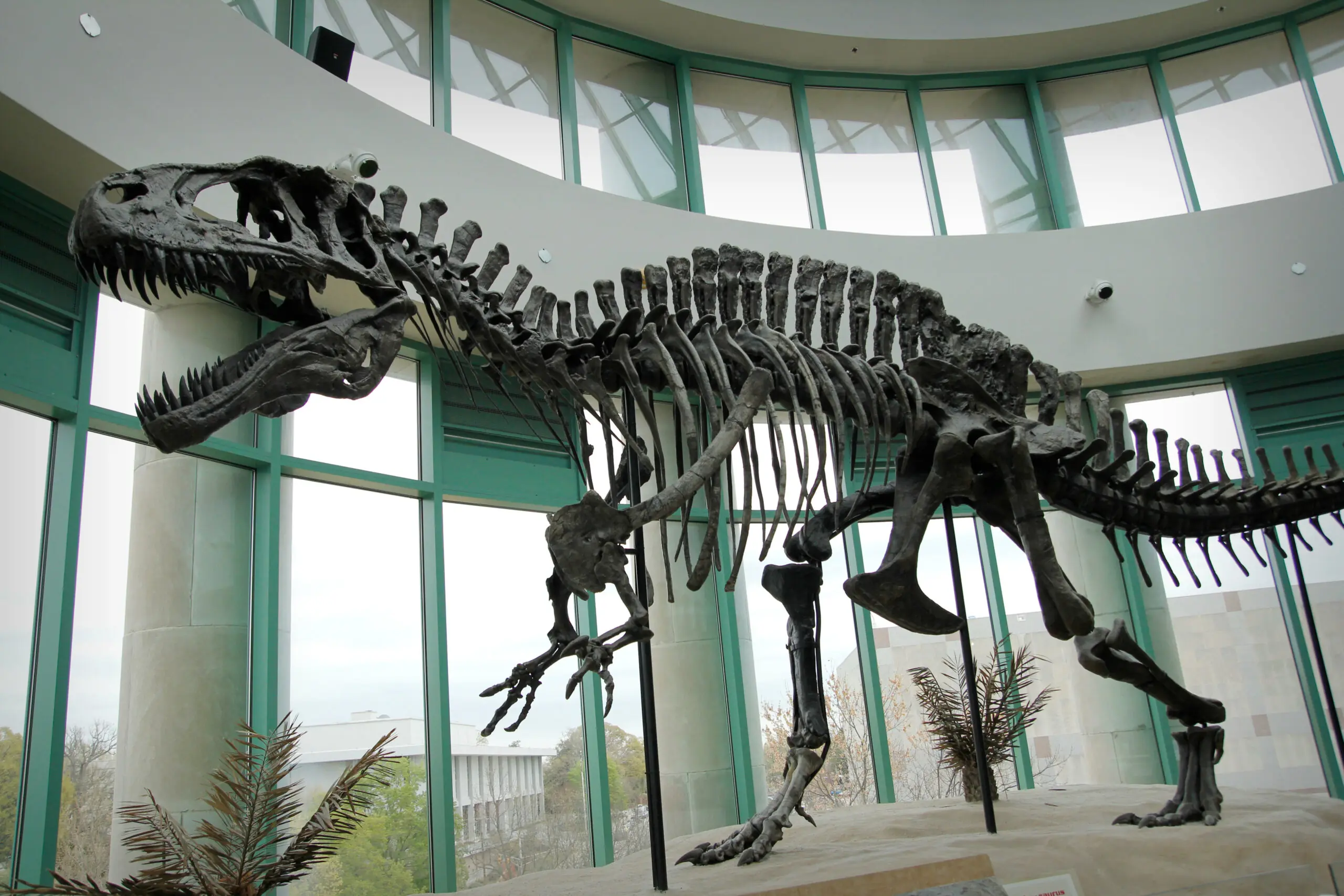 wp-image-1263166423 size-full