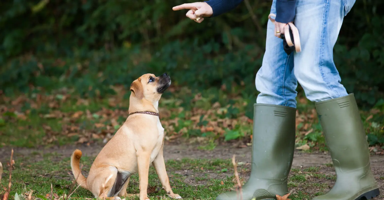 Louisiana mom and daughter charged after video of 'dog training' techniques go viral online