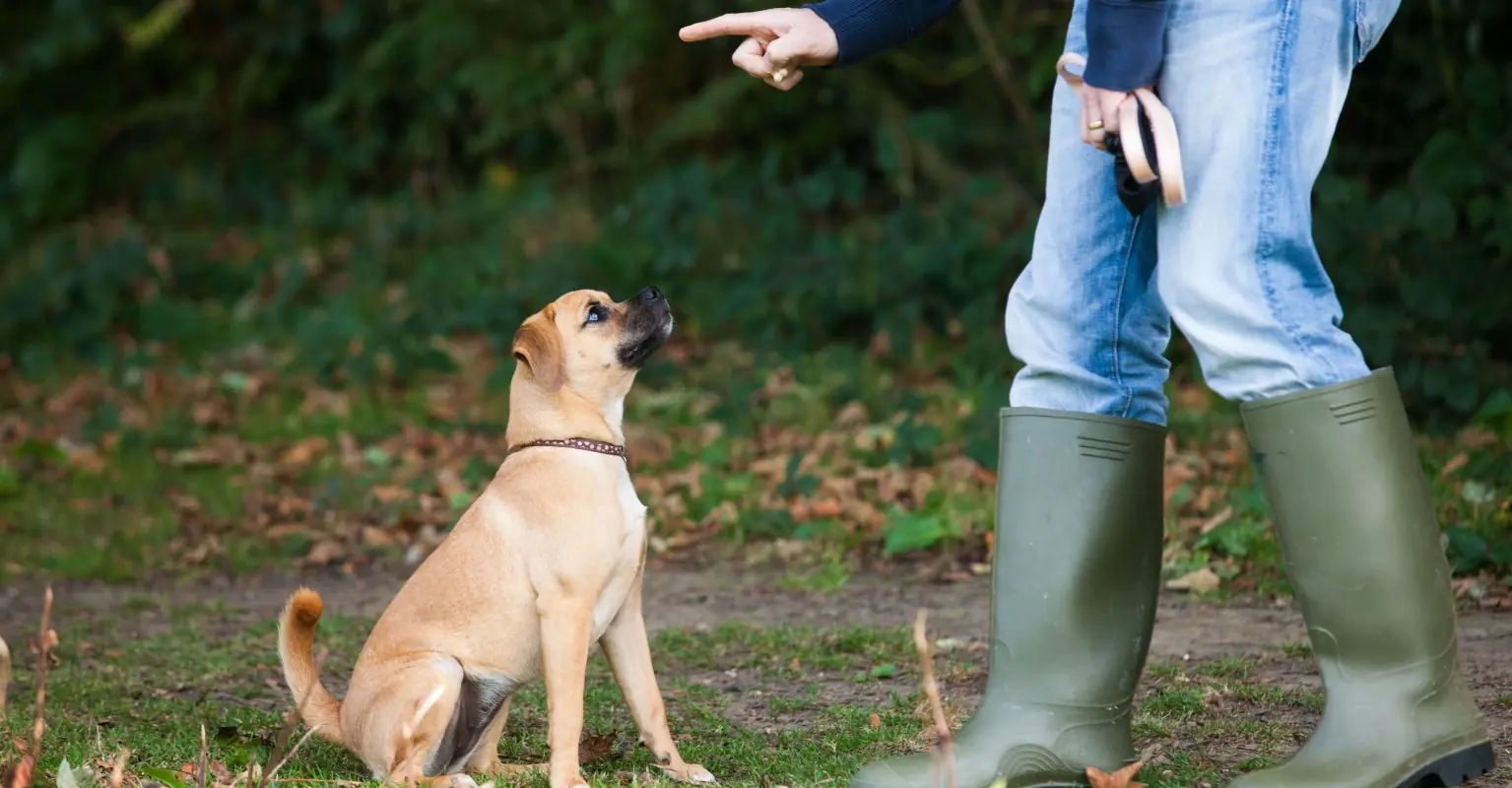 Louisiana mom and daughter charged after video of 'dog training' techniques go viral online