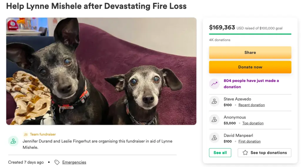 size-large wp-image-1263165171