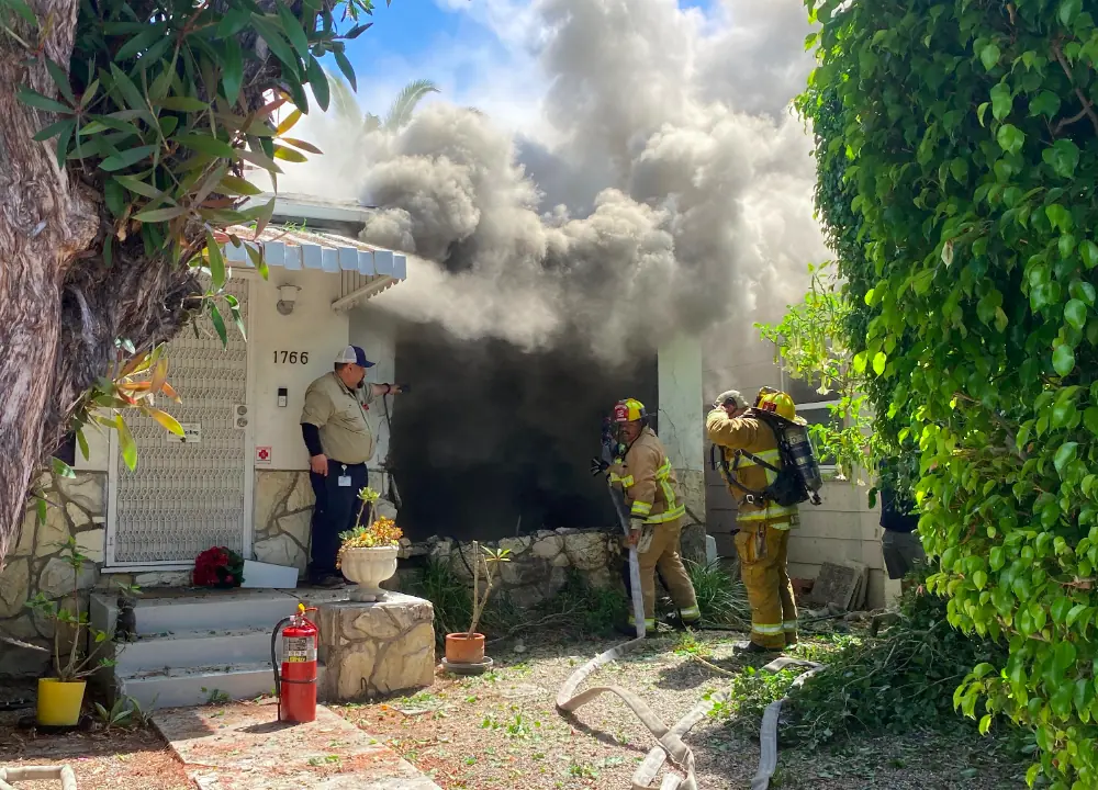 size-full wp-image-1263165189