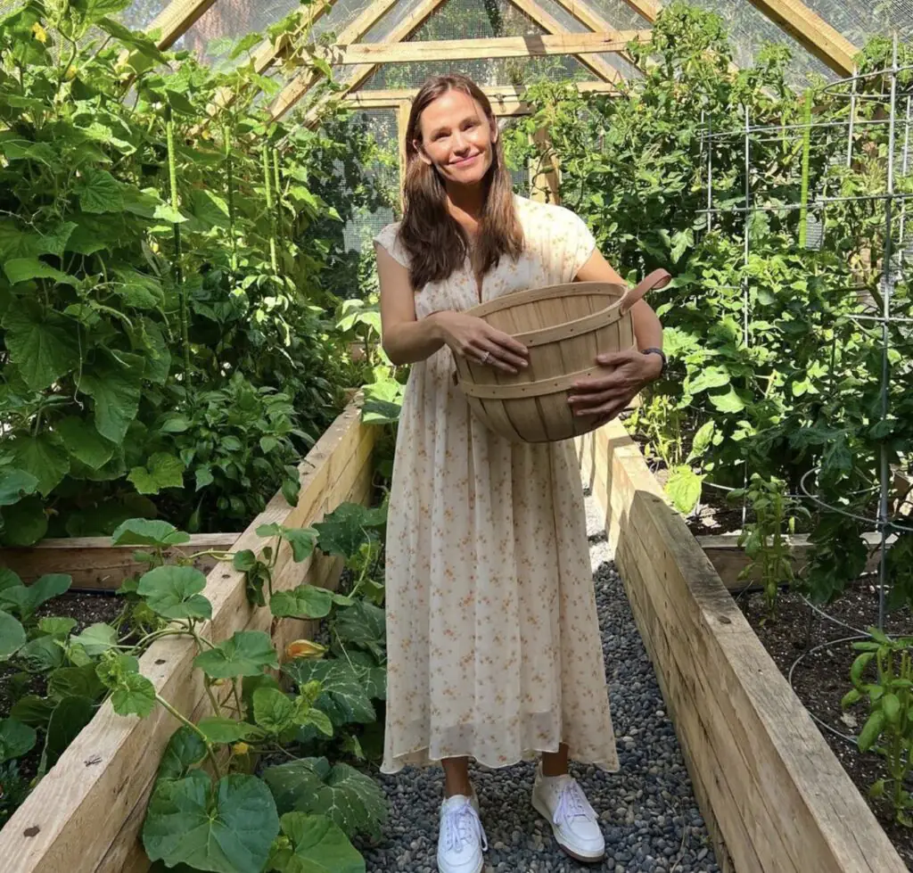 size-large wp-image-1263165938