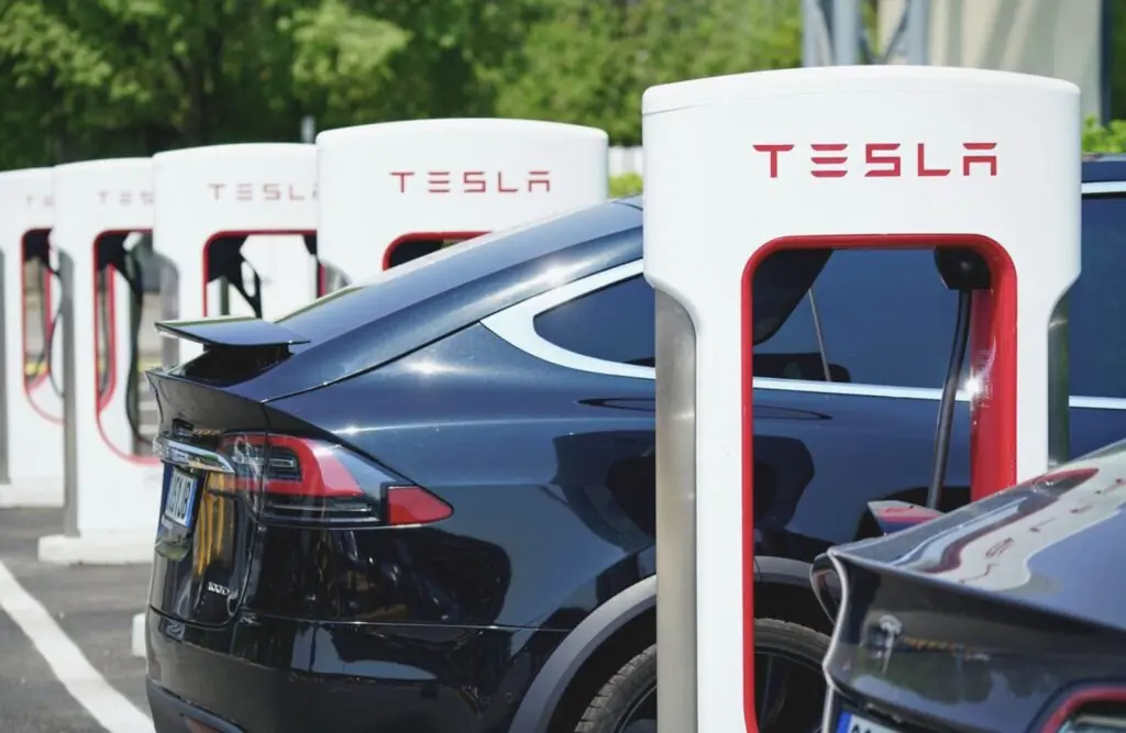 size-large wp-image-1263166030